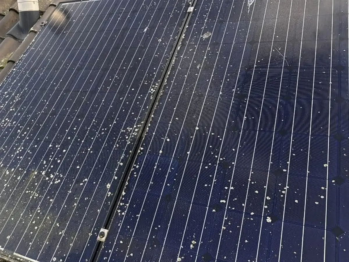 Vervuilde zonnepanelen met korstmos saharazand en vogelpoep