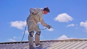 dakbiocide behandeling na dakreiniging