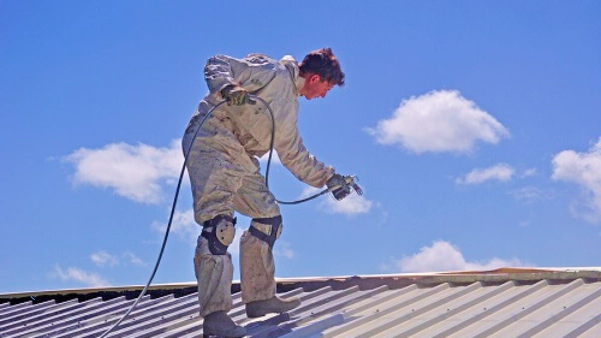 dakbiocide behandeling na dakreiniging
